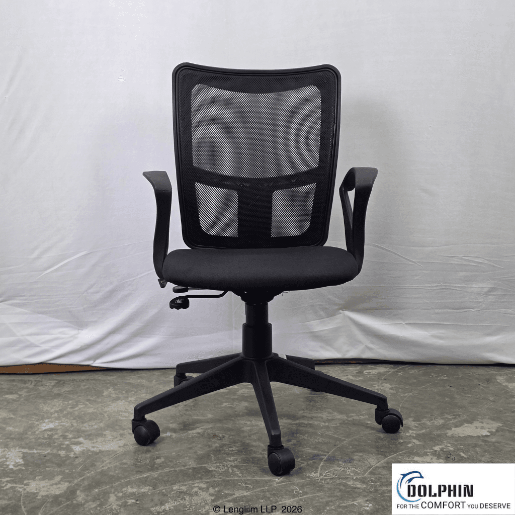 Dolphin DF 204 Mesh Office Chair