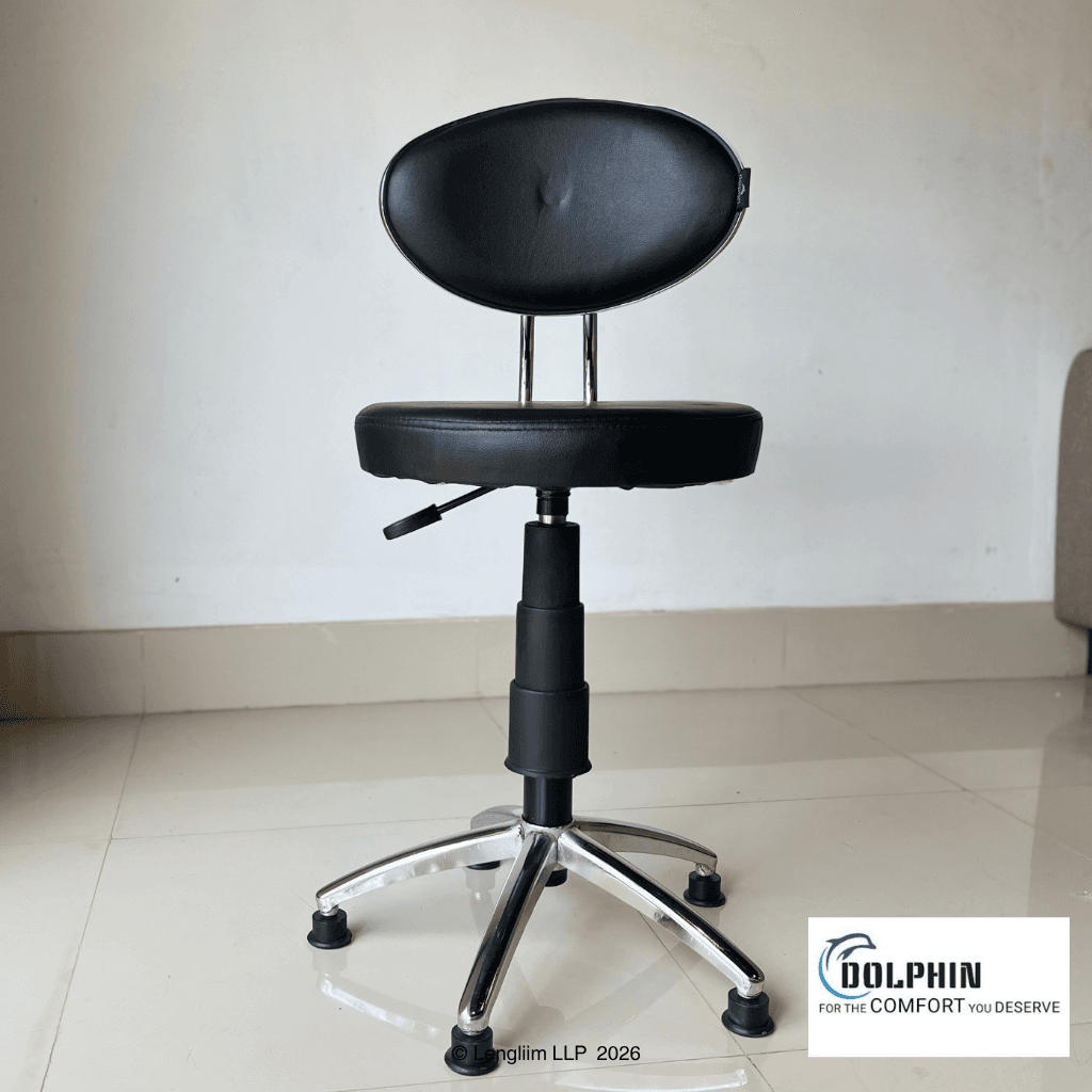 Dolphin DF 163 Revolving Stool with Back Panel